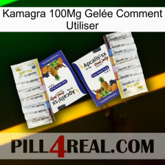 Kamagra 100Mg Gelée Comment Utiliser 12